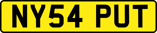 NY54PUT