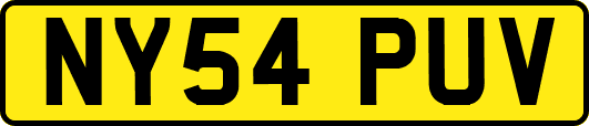 NY54PUV