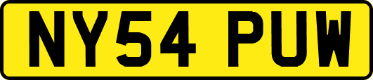 NY54PUW