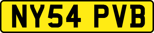 NY54PVB