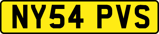NY54PVS