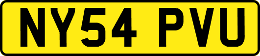 NY54PVU