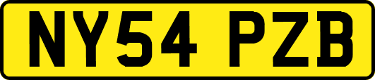 NY54PZB