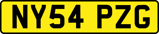 NY54PZG