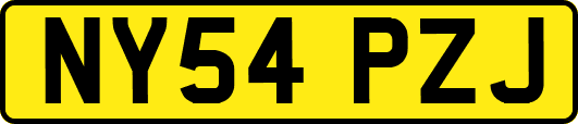 NY54PZJ