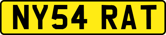 NY54RAT