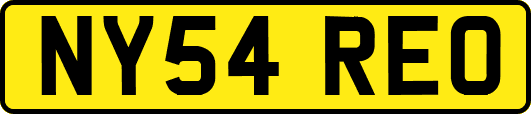 NY54REO