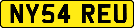 NY54REU