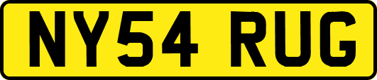 NY54RUG