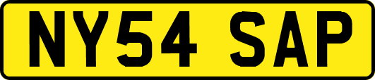 NY54SAP