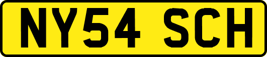 NY54SCH