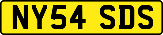 NY54SDS