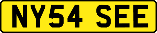 NY54SEE