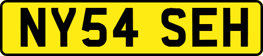 NY54SEH