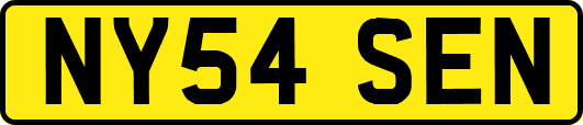 NY54SEN