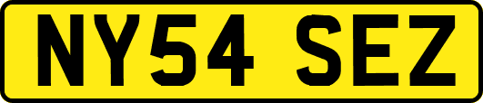 NY54SEZ