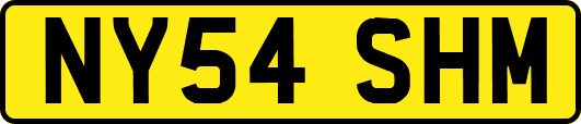NY54SHM