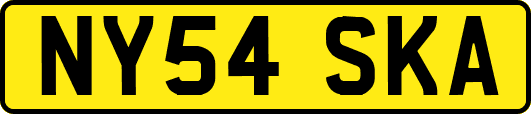 NY54SKA