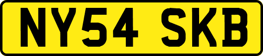 NY54SKB
