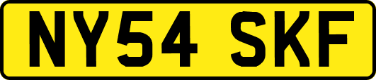 NY54SKF