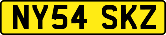 NY54SKZ