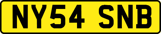 NY54SNB