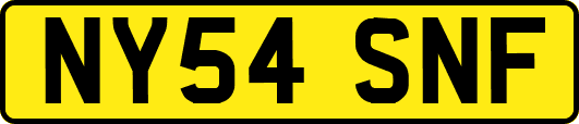 NY54SNF