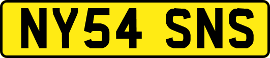 NY54SNS