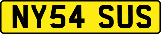 NY54SUS