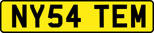 NY54TEM