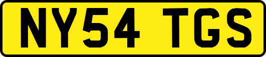 NY54TGS