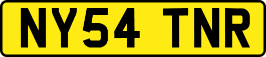 NY54TNR