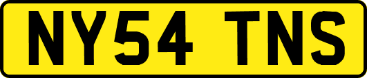 NY54TNS