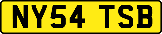 NY54TSB