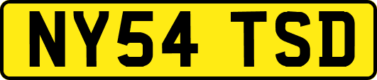 NY54TSD