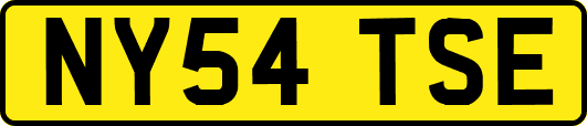 NY54TSE