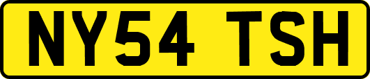NY54TSH