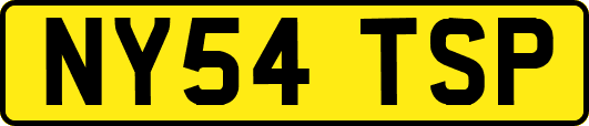 NY54TSP