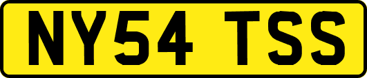 NY54TSS