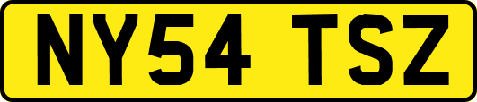 NY54TSZ