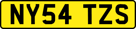 NY54TZS
