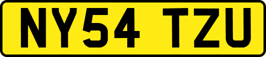 NY54TZU