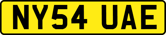 NY54UAE