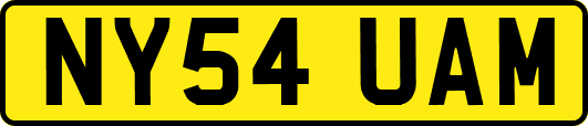 NY54UAM
