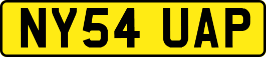 NY54UAP
