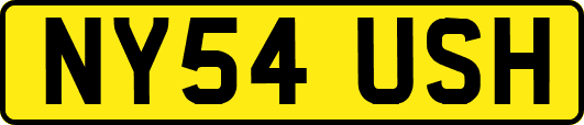 NY54USH