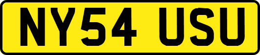 NY54USU