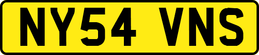 NY54VNS