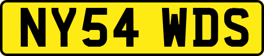 NY54WDS