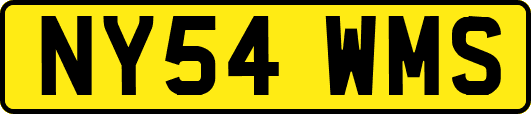 NY54WMS